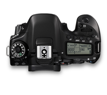 Canon EOS 80D Gallery Image 4