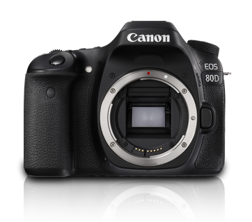 Canon EOS 80D Gallery Image