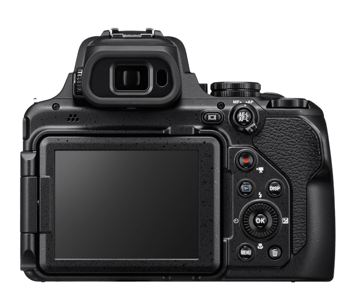 Nikon COOLPIX P1000 Gallery Image 5