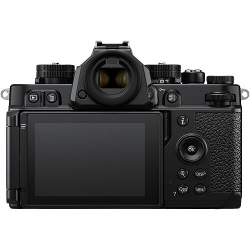 Nikon Zf Gallery Image 2