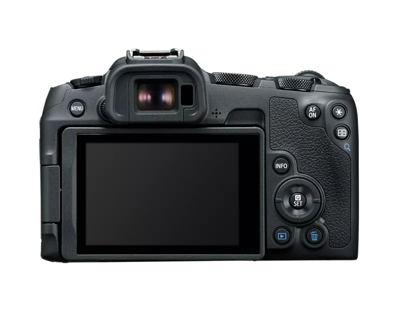 Canon EOS R8 Gallery Image 6