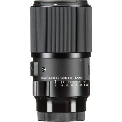 Sigma 105mm f/2.8 DG DN Macro Art Gallery Image 1