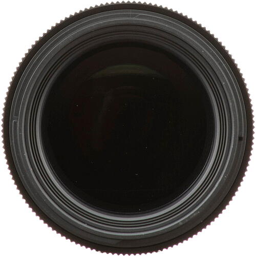 Sigma 105mm f/2.8 DG DN Macro Art Gallery Image 2