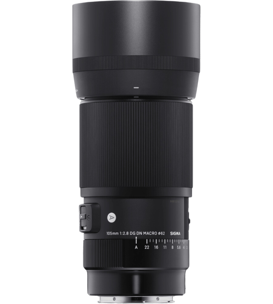 Sigma 105mm f/2.8 DG DN Macro Art Gallery Image 3